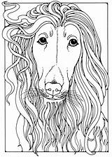 Windhund Afgano Malvorlage Afghaanse Windhond Levriero Afghanischer Greyhound Scarica Schoolplaten Educolor Educima Große sketch template