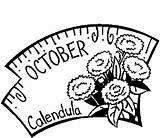 Birthstone Coloring Calendula October Flower Pages sketch template