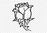 Bud Rose Coloring Flower Pages Clipart sketch template