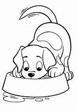 Cachorro Puppy Colorir Ausmalbilder Hunde Malvorlage Nachmalen Pra Malen Einfache sketch template