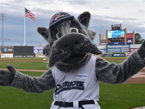 somerset patriots   lead sparkee performer bridgewater nj