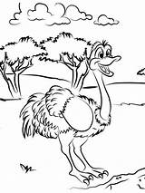 Ostrich Avestruz Colorir Desenhos Struisvogel Gaddynippercrayons Bestcoloringpagesforkids Afdrukbare Kleurplaten Pintarcolorear Kleurplaat sketch template
