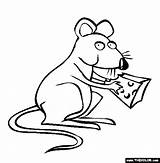 Rat Coloring Pages Color Drawing Colouring Line Mouse Year Animals Cartoon Evil Animal Rod Thecolor Printable Sketches Sheets Getdrawings Preschool sketch template
