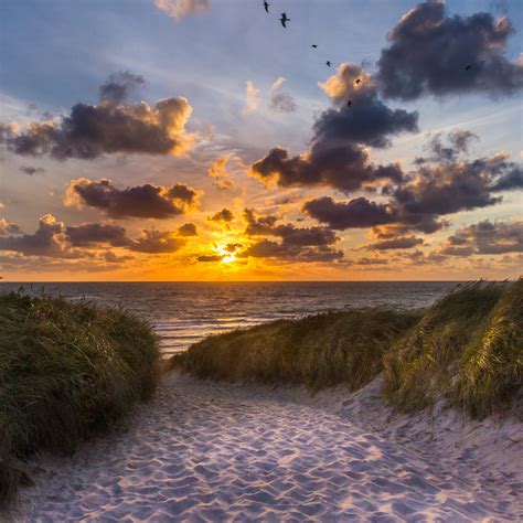 sylt foto bild landschaft meer strand duenen bilder auf