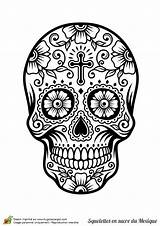 Mort Tete Mexicain Crane Squelette Mexicaine Sugar Calaveras Sucre Tatouage Mexicanas Crâne Multiples Tête Calavera Muertos Caveira Calaveritas Extraordinaire Amusant sketch template