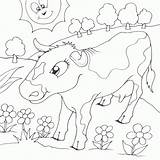 Cow Flowers Coloring Field Seipp Dave Drawn sketch template
