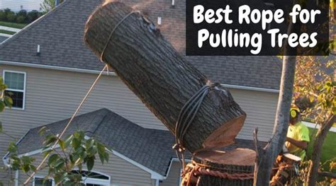 Best Rope For Pulling Trees Top Stronger Rope For Pulling Anything