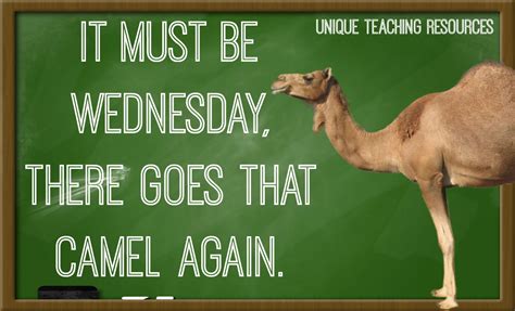 20 Sayings And Quotes About Wednesday