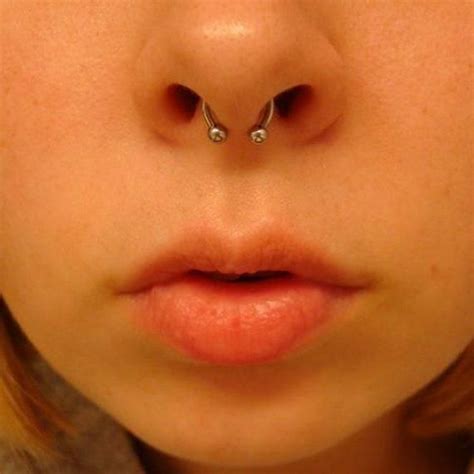 septum piercings septum piercing schmuck einzigartige