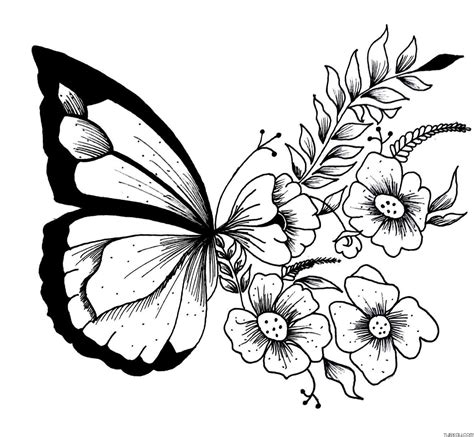 aesthetic butterfly coloring pages turkau