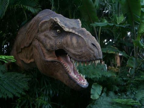 tyrannosaurs might have enjoyed making out before sex