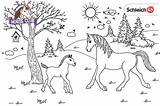 Schleich Pferdehof Pferde Ausmalen Zeichnen Interessen Spiel Zuhause Spass Fur sketch template
