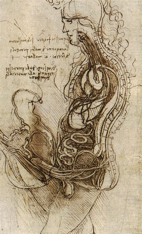 Schematic drawing of sexual penetration