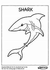 Shark Coloring Kidloland Printable Pages Worksheets Kids sketch template