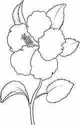 Flower Hibiscus Coloring Pages Hawaii Printable State Flowers Kids Colouring Print Drawing Color Sheets Drawings Draw Visit Tree Popular sketch template