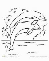 Dolphin Coloring Pages Dolphins Fun Jumping Ocean Kids Printable Worksheet Education Leaping Color Water Sheet Sheets Drawing Book Animal Two sketch template