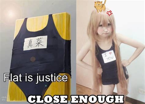 flat is justice delicious flat chest know your meme