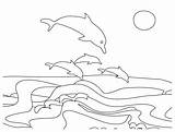 Playas Hawaii Dolphins Oceano Stampare Colornimbus sketch template