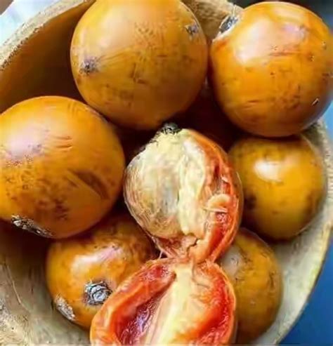 side effects and health benefits of agbalumo udara african star apple