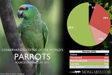chart  worlds  endangered parrots  allies