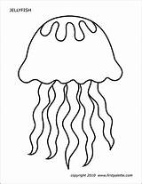 Jellyfish Printable Fish Coloring Pages Templates Ocean Template Animal Color Firstpalette Kids Printables Jelly Colouring Craft Sea Crafts Choose Board sketch template