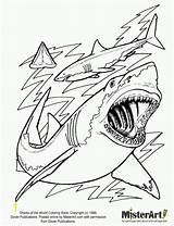 Shark Coloring Pages Printable Sharks Megalodon Jaws Print Kids Evolution Color Cartoon Tiger Hungry Scary Life Bestcoloringpagesforkids Template Great Book sketch template
