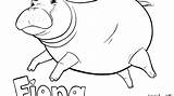 Fiona Hippo Cincinnati Hippopotamus sketch template