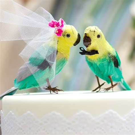 parrott wedding cake google search bird  paradise wedding paradise wedding tropical