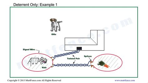 petsafe invisible fence wiring diagram