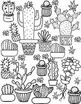 Cactus Coloring Pages Printable Succulent Adult Choose Board Cute sketch template