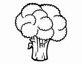 Broccoli Vegetables Coloring Pages Coloringcrew Broccolis Peppers sketch template
