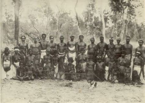 Reader At Work The Australian Aborigines