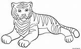 Tigre Repose sketch template