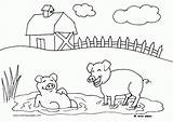 Coloring Farm Pages Preschool Printable Popular Sheet sketch template