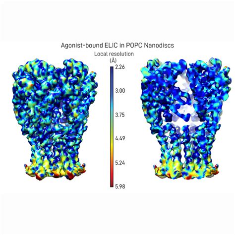 cryo em structures   lipid sensitive ligand gated ion channel