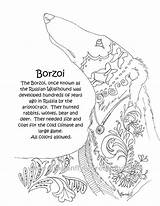 Coloring Book Greyhound Borzoi Getcolorings Breeds Included sketch template