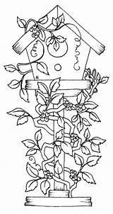Coloring Pages Bird House Birdhouse Color Flowers Houses Printable Getdrawings Getcolorings Comments sketch template