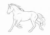 Thoroughbred sketch template