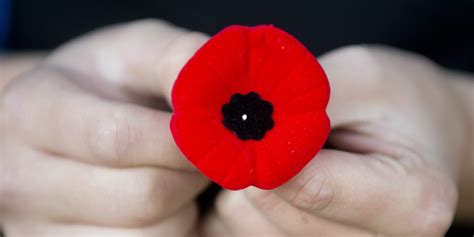 sticky situation remembrance day facts dos  donts julie blais