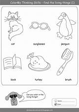 Coloring Skills Thinking Pages Coping Worksheet Print Template Worksheets Educationalcoloringpages sketch template