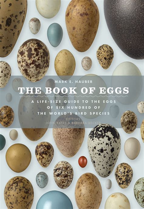 book  eggs  life size guide   eggs