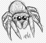 Spider Sketsa Serangga Blot sketch template