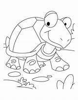 Tortoise Coloring Pages Hare Race Turtle Won Desert Printable Kids Galapagos Getcolorings Getdrawings Popular Books sketch template