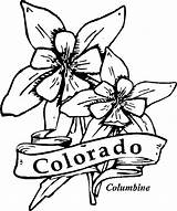 Coloring Columbine Flower Colorado Pages Flowers State Drawing Drawings Clipart Printable Kids Hibiscus Cliparts Sheets Library Template sketch template