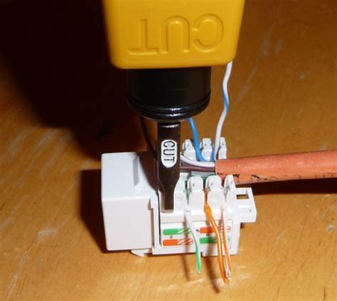 cat   wiring diagram
