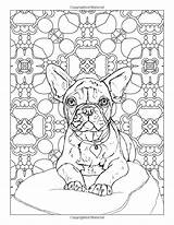 Frenchie Book Bulldogs Paws Faithful sketch template