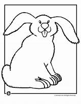 Coloring Bunny Cute Pages Easter Rabbit Kids Ages Teenagers Bunnies Drawing Woojr Demon Comments sketch template