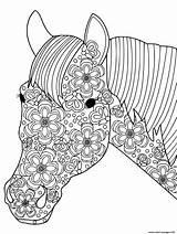Coloring Horse Pages Stress Adults Anti Head Printable Print Book sketch template