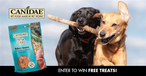 sweepstakes  instant win games food animals pet people dog treats