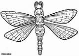 Totem Skull Coloring Pages Click Dragonfly Wenchkin Enlarge Right Print Color Pic Save sketch template